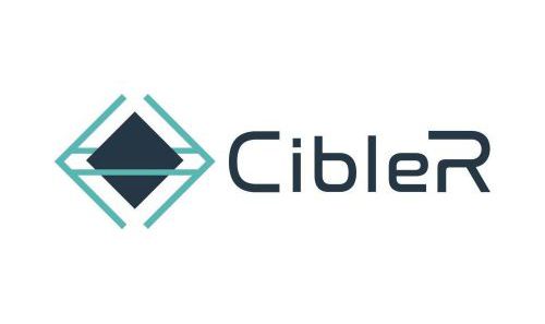 Cible R : Plateforme pour personnaliser les actions de fidélisation grâce à l'intelligence artificielle